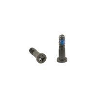 iPhone 5s Bottom Pentalobe Screws