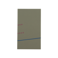 iPhone 5/5c/5s Polarizer