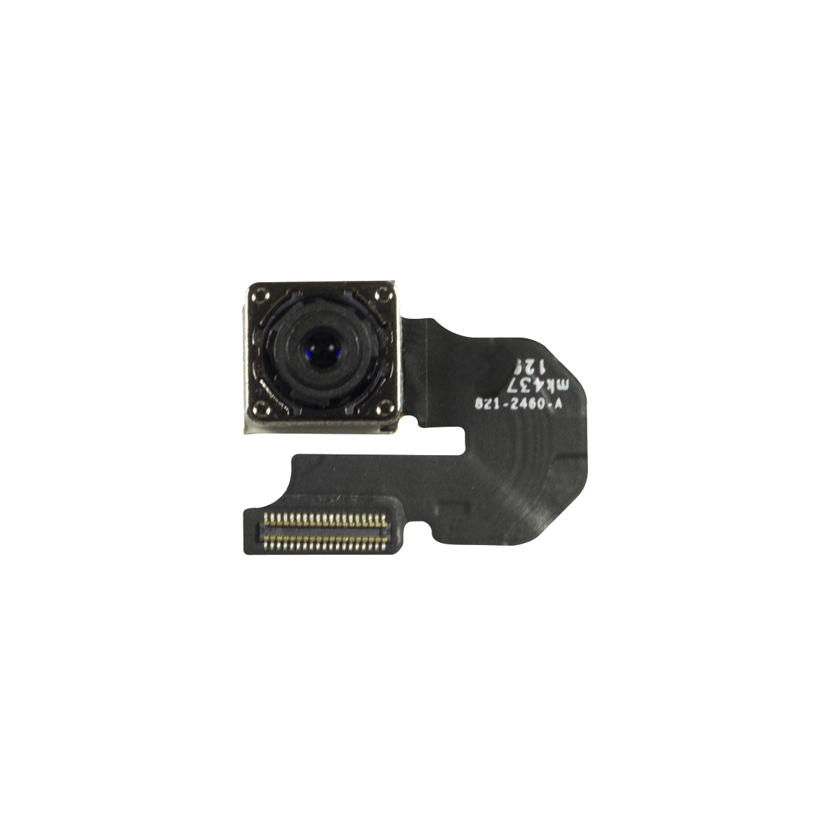 iPhone 6 Rear-Facing Camera Replacement
