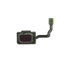Samsung Galaxy S9 / S9 Plus Fingerprint Scanner with Flex Cable Replacement