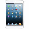 iPad Mini 2 (Retina) Replacement Parts