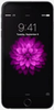 iPhone 6 Plus Replacement Parts