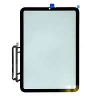 iPad Mini 6 (2021) Touch Screen Digitizer Replacement