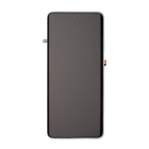 Samsung SM-G998 Galaxy S21 Ultra 5G Display with Frame