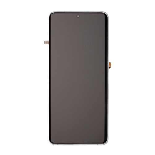 Samsung SM-G998 Galaxy S21 Ultra 5G Display with Frame