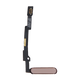 iPad Mini 6 (2021) Power Button with Flex Cable Replacement