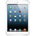IPAD MINI 2
