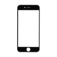 iPhone 6s Glass Lens Screen & Frame
