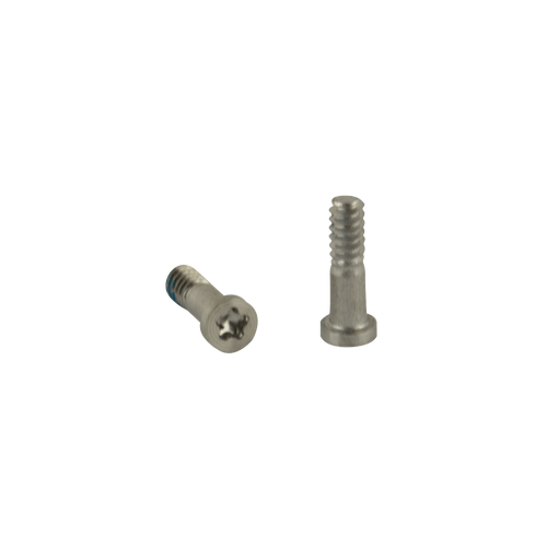 iPhone 5s Complete Screw Set