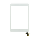 iPad Mini Touch Screen Digitizer & IC Chip Replacement
