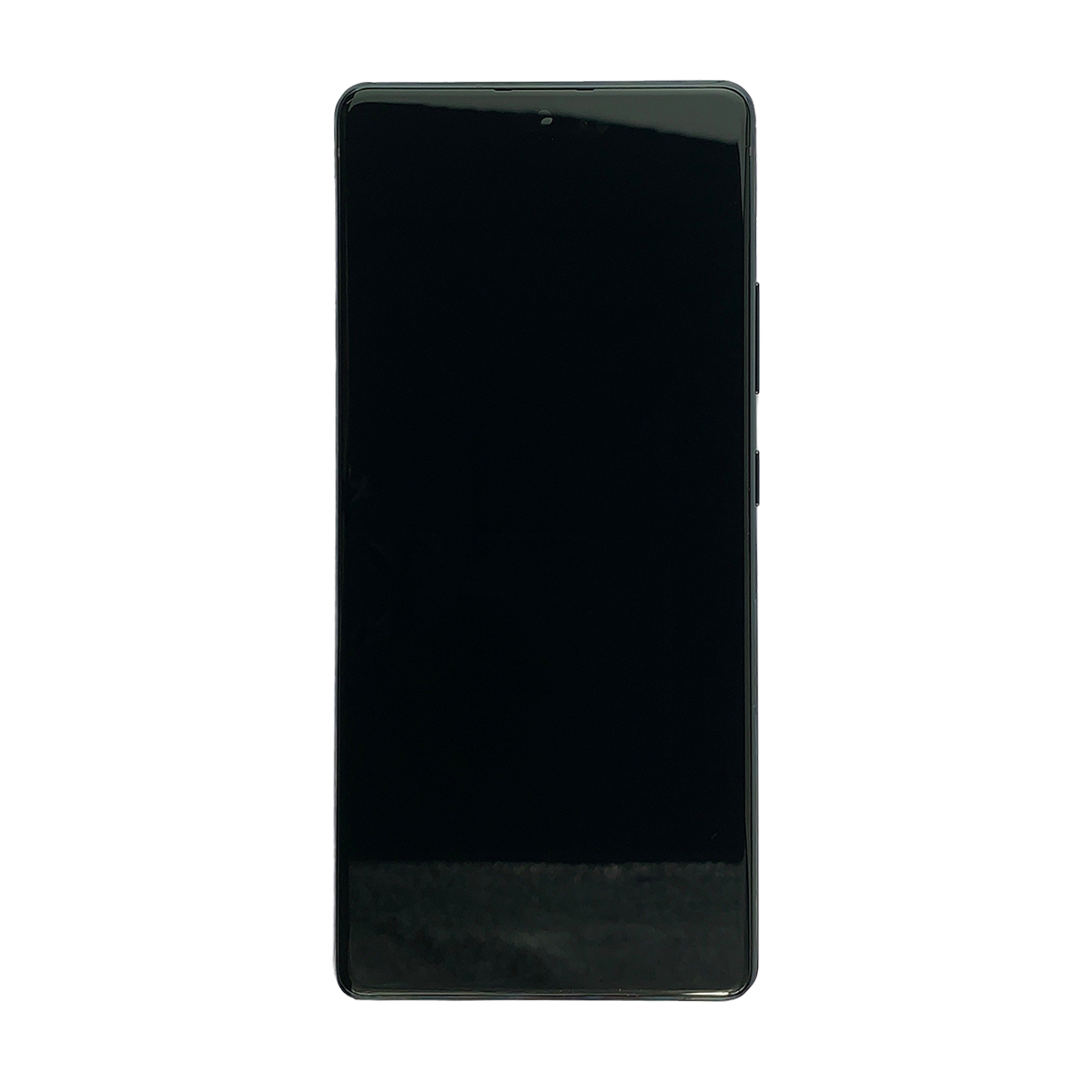 Samsung Galaxy S10 Lite OLED and Touch Screen Replacement