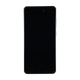 Samsung Galaxy S21 FE 5G OLED and Touch Screen Replacement