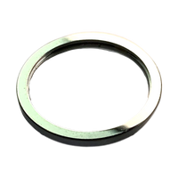 iPhone 13 Pro / 13 Pro Max Rear Camera Bezel Ring Set (3)