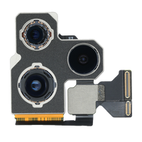 iPhone 13 Pro / iPhone 13 Pro Max Rear Camera Replacement