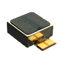 Samsung Galaxy Note 10 Plus / Note 10 Plus 5G/ S20 / S20 5G / S20 Plus/ S20 Ultra Vibrator Motor