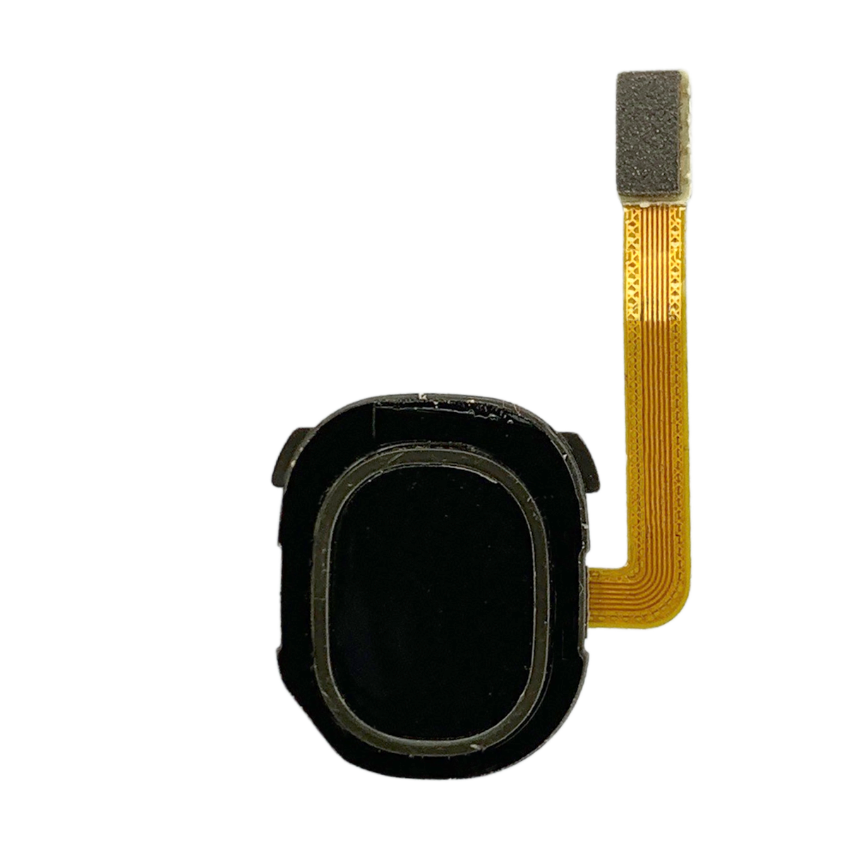Biometric Sensor Repair Samsung Galaxy A20 Fingerprint Sensor Replacement – Repairs Universe