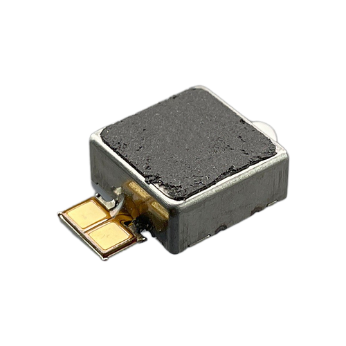 Samsung Galaxy S21+ 5G / S21 Ultra 5G Vibrator Module Replacement