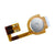 iPhone 3G Home Button Flex Cable Replacement